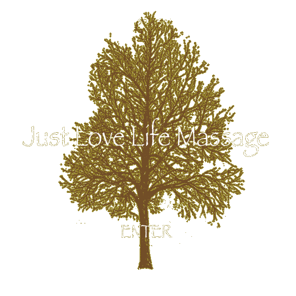 just love life massage